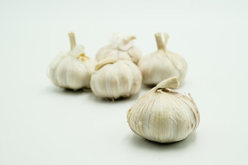 Garlic or Allium sativum, shots on isolated white background.