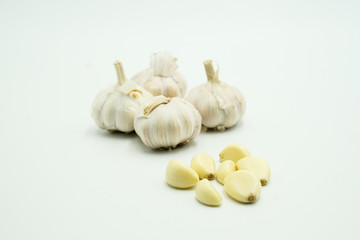Garlic or Allium sativum, shots on isolated white background.