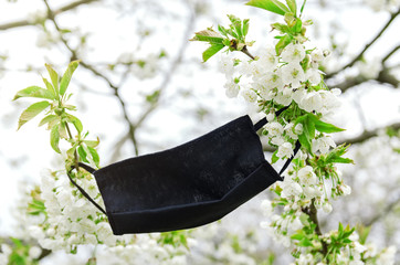 Protective medical mask on the blooming branch.  The concept of spring is in quarantine.