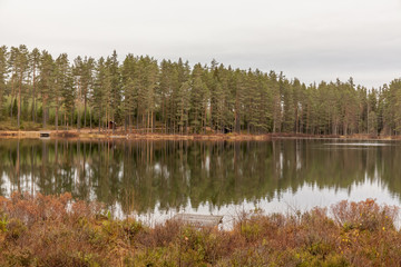 Fototapeta na wymiar Lake, calm water, forest reflection in the water, cloudsAutumn landscape. Sweden.