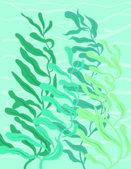 Fototapeta na wymiar Sea weeds underwater