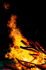 Bonfire that burns on a dark background, wood burning flame.