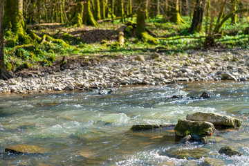 small river at spring time