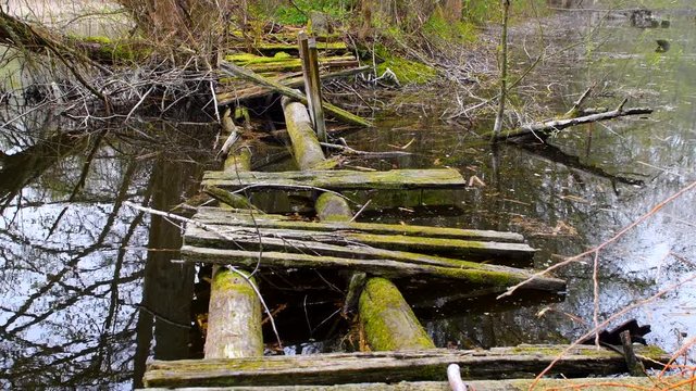 Old boken down wooden bridge covered with green moss over an small lake at Lummelunda on the island of Gotland, Sweden