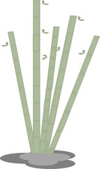 bamboo with rock on a white background