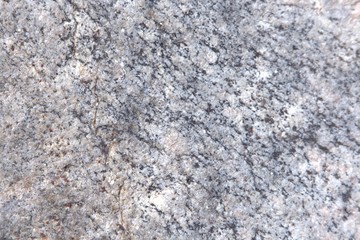 Roche naturel en forêt au Québec, Canada. Texture unique