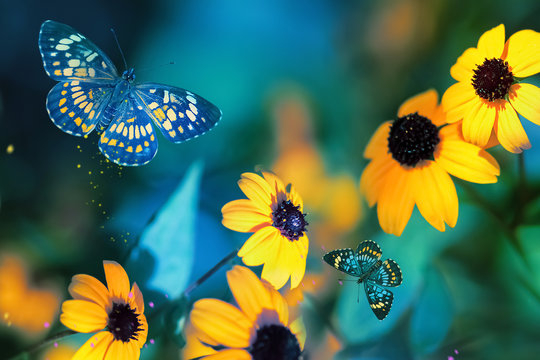 Tropical butterflies and yellow bright summer flowers on a background of colorful  foliage in a fairy garden. Macro artistic image.