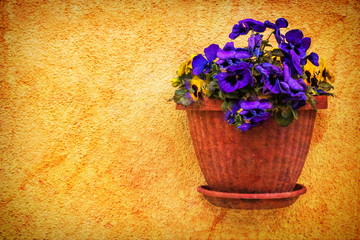 burano, italien - blumentopf an einer hauswand in der altstadt