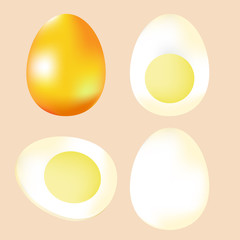 Chicken realistic egg. Set of boiled, half, sliced eggs. Vector illustration. Eggs in various forms.