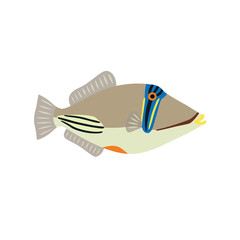 Picasso triggerfish fish icon on white background. Vector illustration.