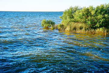 Florida luxury waterfront house landscape
