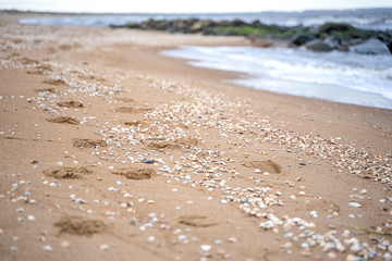 footprints on sand beach along the edge of sea. Selective focus