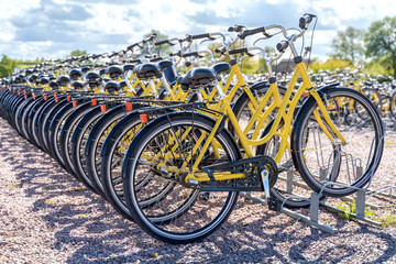 Row of bicycles parked. Yellow bicycles stand on a parking for rent.To save energy and environmentally friendly. Selective focus.