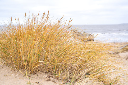 Dunes on the North Sea, Sweden
