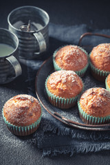 Closeup of yogurt muffins with powdered sugar