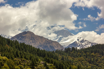 Fototapeta premium Clouds cover the snow covered peak of Nilgiri North towering above a green, alpine forest in the Himalayan village of Tukuche on the Annapurna Circuit in Nepal.