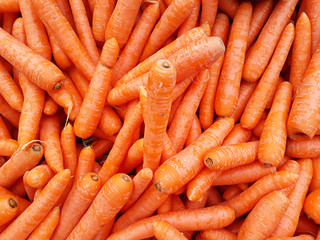 Carrot that provides high vitamin A