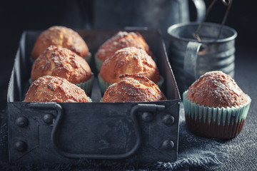 Homemade and tasty yogurt muffins with powdered sugar