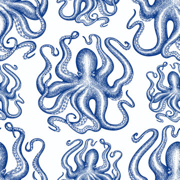 Octopus seamless pattern. Hand drawn vector seafood illustration. Retro sea animals background