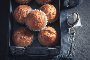 Homemade and tasty vanilla cupcakes on rustic dark table