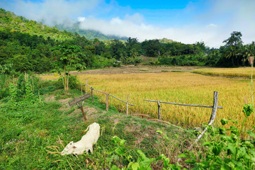 Landscape , Krajobrazy 2020