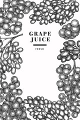 Grape design template. Hand drawn vector grape berry illustration. Engraved style retro botanical banner.