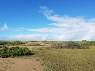Hiking in the tropics
