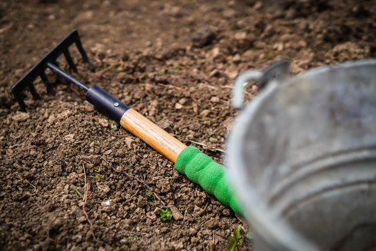 Detail of little rake - working tool stuck in the ground. Topic of the prepare garden at the cottage for the summer and hope to have a rich harvest.