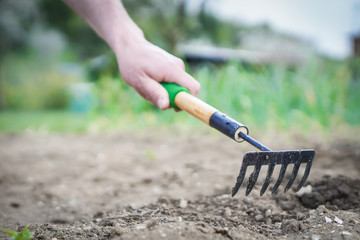 The man is preparing his garden at the cottage for the summer and hopes to have a rich harvest. Detail of his hand with working tool - the rake on the blurred background.