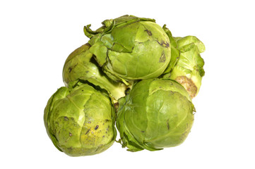 head of cabbage isolated on white background