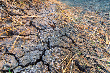 Soil cracks in arid areas in summer.