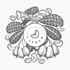 Hand drawn sketch cashew design template. Organic food vector illustration on white background. Vintage nut illustration. Engraved style botanical background.