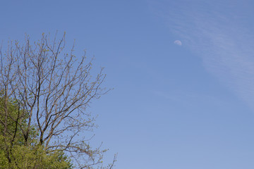 Moon against blue sky