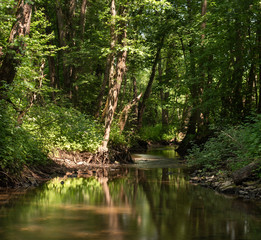 Russia, Moscow region, forest stream. Long exposure.