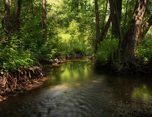Obraz premium Russia, Moscow region, forest stream. Long exposure.