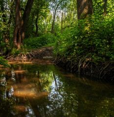 Russia, Moscow region, forest stream. Long exposure.