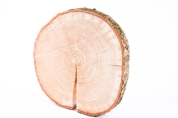 Slice of fresh oak wood on a white background	
