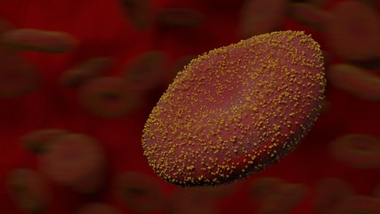 Close-up of a coronavirus 2019 outbreak(covid19)is attacking red blood cells, with red blood cells in the background.