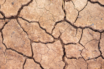 Soil cracks in arid areas in summer.