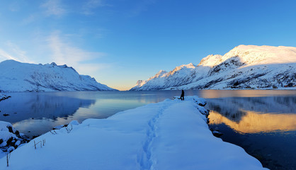 man standing in Norwegian fjords