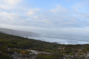 Coastal Sea view with dunes and plant growth