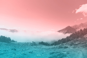 wide pink and teal cloudy mountain background forest 