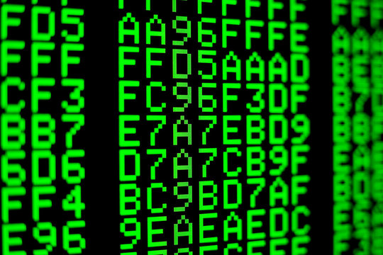 Computer code on the screen