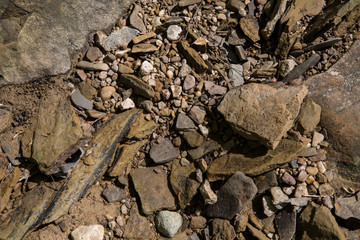 Riverbed rock texture
