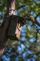 A closer look at a bird house on a tree.