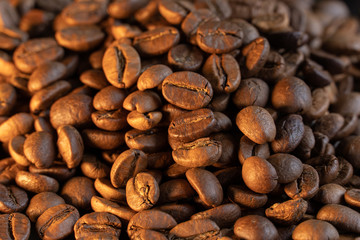 golden roasted coffee beans background