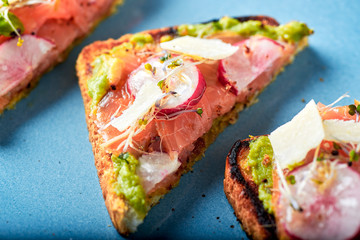 salmon toast with gacamole, radishes and bean sprouts on a blue plate
