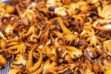 Squid barbecue, Grilled Dollfus Octopus for sale in thai street food market