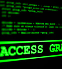 Fototapeta premium Dostęp przyznany.