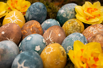 Easter painted eggs with stars and daffodils